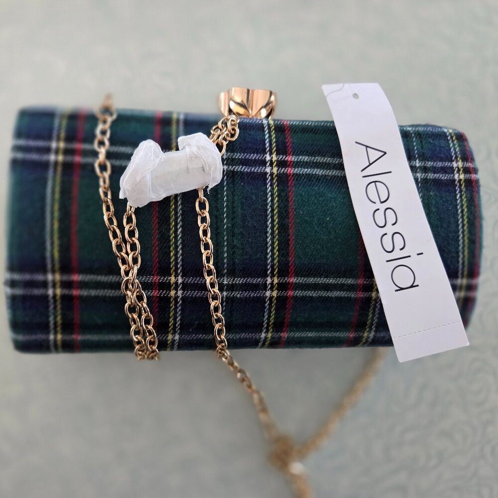 NWT Alessia Purse